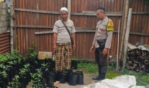 Ketahanan Pangan Nasional Dimulai dari Pekarangan Rumah: Inisiatif Polsek Kuripan