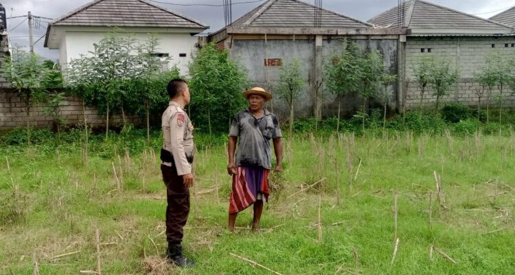 Bhabinkamtibmas Terong Tawah Aktif Dorong Ketahanan Pangan di Tingkat Desa