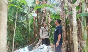 Polsek Batulayar Dorong Warga Sandik Manfaatkan Lahan Kosong untuk Ketahanan Pangan