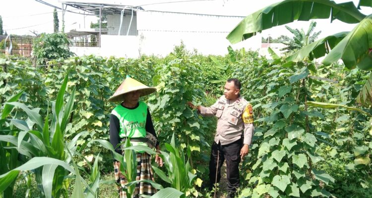 Polsek Labuapi Dukung Ketahanan Pangan, Bhabinkamtibmas Ajak Warga Manfaatkan Lahan Kosong