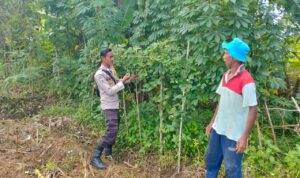 Bhabinkamtibmas Desa Rumak Aktif Edukasi Warga Soal Swasembada Pangan