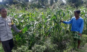 Bhabinkamtibmas Dorong Swasembada Pangan di Desa Montong Are