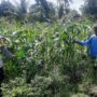 Bhabinkamtibmas Dorong Swasembada Pangan di Desa Montong Are