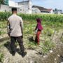 Bhabinkamtibmas Labuapi Dorong Pemanfaatan Lahan Demi Ketahanan Pangan