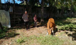 Bhabinkamtibmas Aktif Edukasi Pertanian di Desa Senggigi