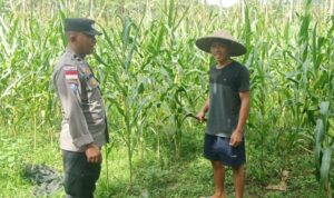 Bhabinkamtibmas Taman Baru Giat Dorong Pemanfaatan Lahan Kosong