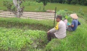 Dari Silaturahmi ke Swasembada Polri dan Warga Montong Are Bersinergi
