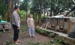Dukung Program Pangan, Bhabinkamtibmas Aktif Edukasi Petani Senggigi