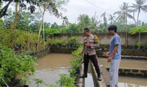 Ketahanan Pangan Dimulai dari Dusun Pesongoran, Lombok Barat