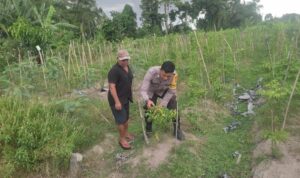 Kolaborasi Warga dan Polisi Dorong Pemanfaatan Pekarangan di Labuapi
