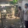 Kuripan Selatan Gerakkan Pekarangan Mandiri untuk Ketahanan Pangan
