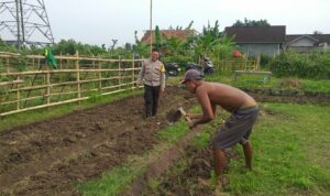 Lahan Pekarangan di Jagaraga Jadi Solusi Ketahanan Pangan