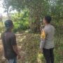 Memperkuat Ketahanan Pangan, Bhabinkamtibmas Kuranji Dalang Gencarkan Kunjungan ke Warga