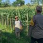 Pekarangan Bergizi, Inisiatif Ketahanan Pangan di Dasan Geres