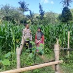 Peran Bhabinkamtibmas Desa Sekotong Timur dalam Program Pangan Nasional