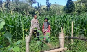 Peran Bhabinkamtibmas Desa Sekotong Timur dalam Program Pangan Nasional