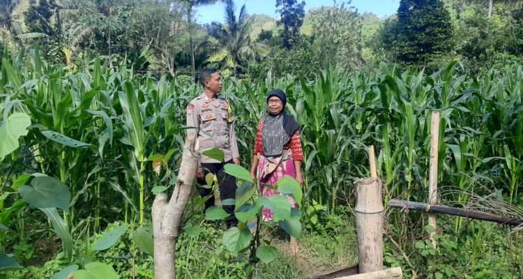 Peran Bhabinkamtibmas Desa Sekotong Timur dalam Program Pangan Nasional