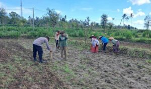 Peran Polri Dalam Swasembada Pangan di Sekotong, NTB