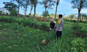 Polri Dorong Pertanian Produktif di Desa Pelangan, Sekotong