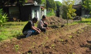 Polri Dukung Ketahanan Pangan Desa Senteluk, Lombok Barat