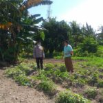 Polri Dukung Ketahanan Pangan Nasional Bhabinkamtibmas Jagaraga Ajak Petani Manfaatkan Lahan Produktif