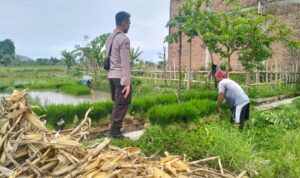Polri Pantau Langsung Tanam Padi di Desa Lelede, Lombok Barat
