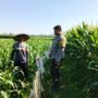 Polri dan Petani Bersinergi Wujudkan Ketahanan Pangan di Lembar, Lombok Barat