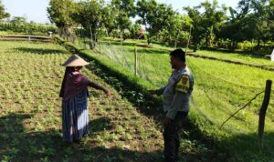 Polri di Lombok Barat Galakkan Ketahanan Pangan Skala Rumah Tangga
