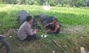 Polres Lombok Barat Dukung Petani Wujudkan Ketahanan Pangan di Lembar
