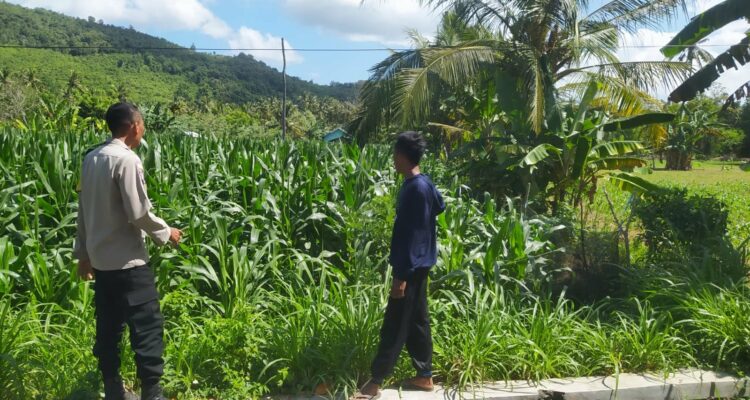 Polri Dampingi Petani di Desa Batu Putih