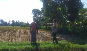 Bhabinkamtibmas Desa Jagaraga Dorong Kemandirian Pangan dari Pekarangan Warga