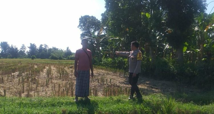 Bhabinkamtibmas Desa Jagaraga Dorong Kemandirian Pangan dari Pekarangan Warga