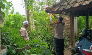 Ketahanan Pangan Dimulai dari Desa: Aksi Humanis Polri di Sekotong, Lombok Barat