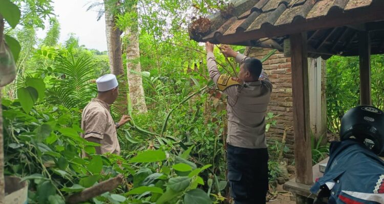 Ketahanan Pangan Dimulai dari Desa: Aksi Humanis Polri di Sekotong, Lombok Barat