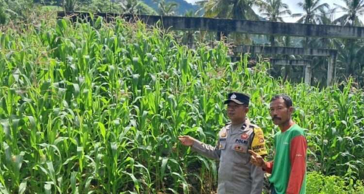 Bhabinkamtibmas Sekotong Dorong Pemanfaatan Pekarangan untuk Ketahanan Pangan
