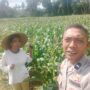 Dukungan Polri di Eyat Mayang, Petani Jagung Tak Sendiri