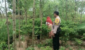 Ketahanan Pangan Dimulai dari Desa, Bhabinkamtibmas Dampingi Petani Cabai di Kediri Lombok Barat