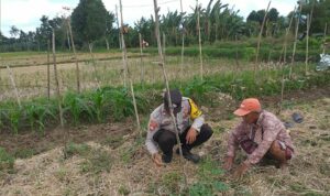 Ketahanan Pangan Dimulai dari Desa Bhabinkamtibmas Jagaraga Dorong Pemanfaatan Lahan Pekarangan