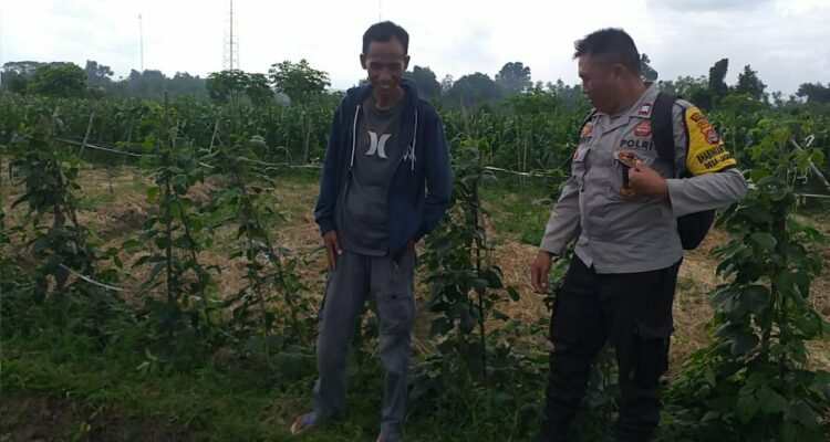 Ketahanan Pangan Dimulai dari Desa, Inisiatif Bhabinkamtibmas di Dusun Beremi Kuripan