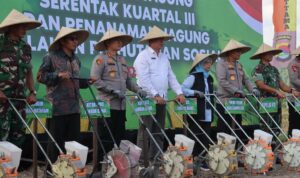 Ketahanan Pangan NTB, Polda dan Pemda Tanam Jagung Serentak di Lombok Barat