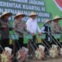 Ketahanan Pangan NTB, Polda dan Pemda Tanam Jagung Serentak di Lombok Barat
