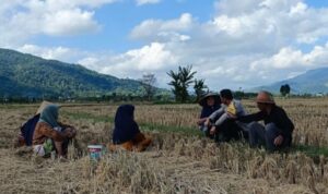 Kolaborasi Polisi dan Warga Babussalam Perkuat Swasembada Pangan
