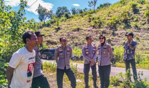Polres Lombok Barat Dampingi Polda NTB Tinjau Lahan Jagung di Sekotong