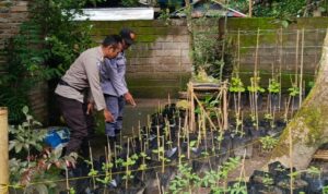 Polri Dorong Ketahanan Pangan dari Pekarangan Warga Kuripan Utara