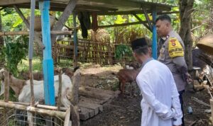 Polsek Batulayar Dorong Ketahanan Pangan Warga Senggigi melalui Edukasi Pertanian