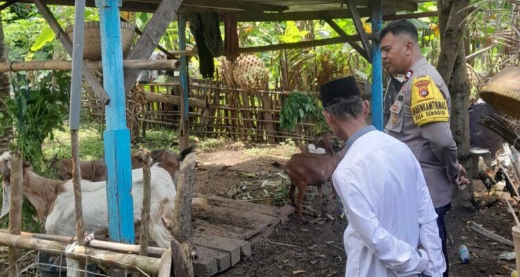 Polsek Batulayar Dorong Ketahanan Pangan Warga Senggigi melalui Edukasi Pertanian