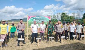 Sinergi Polri, TNI, dan Warga Dukung Swasembada Pangan di Jagaraga, Kuripan