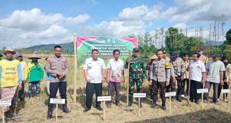 Sinergi Polri, TNI, dan Warga Dukung Swasembada Pangan di Jagaraga, Kuripan