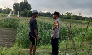 Polri Bina Petani Kuripan Utara Wujudkan Kemandirian Pangan Keluarga