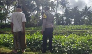 Polisi Ajak Warga Mareje Tanam Pangan Sendiri